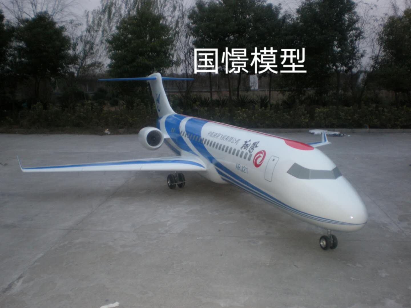 果洛飞机模型